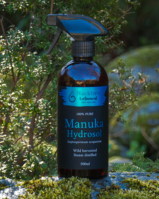 picture of Blackfern botanical 500ml Manuka hydrosol spray bottle