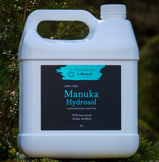 Manuka Hydrosol 4 litre Blackfern Botanical